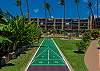 Shuffleboard available on property