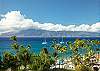 #282 Maui Beachfront Rentals