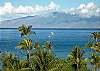 #282 Maui Beachfront Rentals