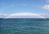 #419 Maui Beachfront Rentals