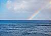 #419 Maui Beachfront Rentals