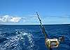 #410 Maui Beachfront Rentals