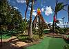 Maui mini golf and sports park just up the road!