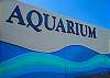 Maalaea Harbor has a great aquarium!  Check it out! 