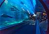 Maalaea Harbor has a great aquarium!  Check it out! 