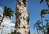 Maui mini golf and sports park just up the road!