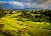 Kapalua Golf Course is just up the road!