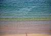 #107 Maui Beachfront Rentals