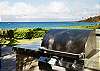 BBQ grills on property to use at your convenience