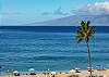 #570 Maui Beachfront Rentals