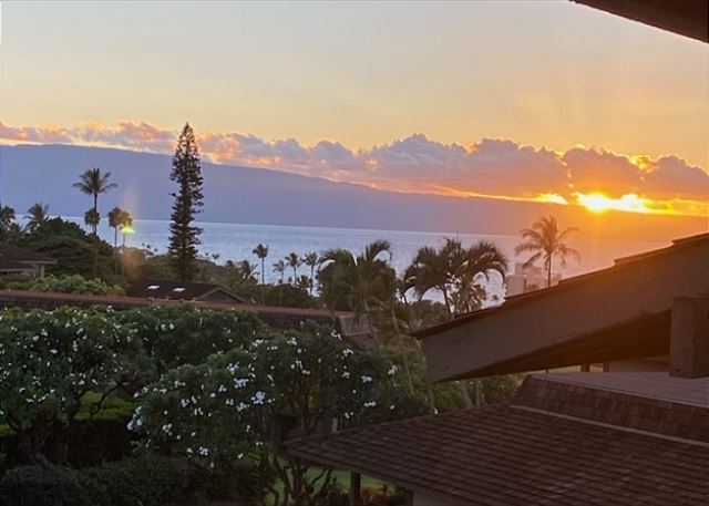 Kaanapali Plantation 41