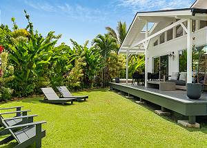 Tropical foliage and dreams