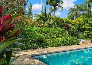 Beautiful tropical flora