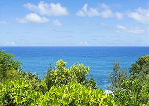 The stunning Pacific Ocean