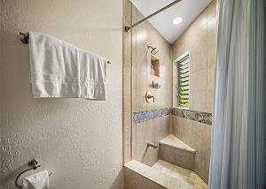 Guest bathroom shower