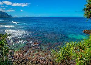 Tropical Location, Princeville, Kauai 
