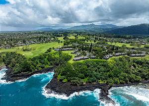 Hawaiian lava rock, tropical flora, just beautiful