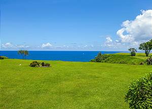 Views of the tropical landscaped grounds and of the ocean. 