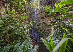 Explore all the island has to offer