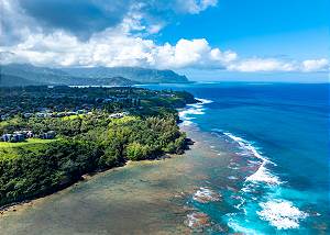 Stunning ocean views