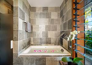 Full tub and shower in the guest bathroom