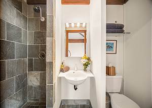 Full bathroom in TV room