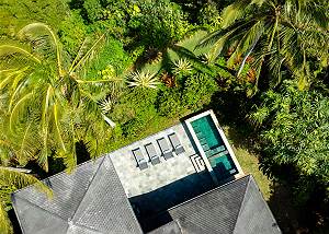 Pool, hot tub and the tropics