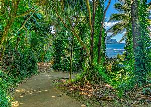 Take the path and a hike to the beach beneath Pali Ke Kua 