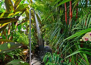 Outdoor shower