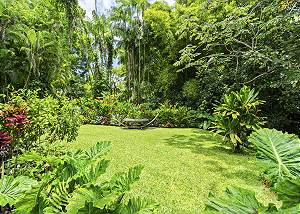 Beautiful tropical backyard