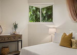 Tropical window views