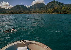 Kauai offers a multitude of adventure and fun. 