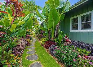 Pathway on side of house