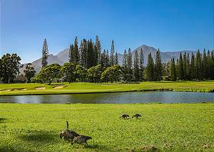 Enjoy the views along the Princeville paths