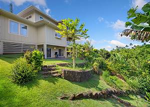 Terraced backyard with fruit trees and garden herbs