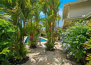 Oasis entrance to the pool