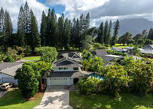 Beautiful Lei Aloha