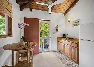 Master Guest Suite 