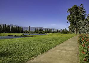 Princeville walking community