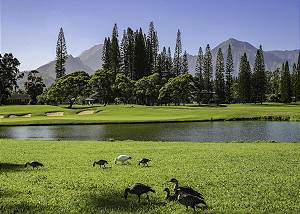 Gorgeous Golf Course views