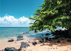 Hidden beaches throughout Princeville