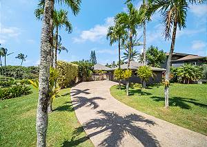 Follow the palm tree lined driveway to Paradise