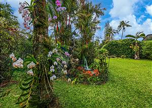 Beautiful orchid flowers all around