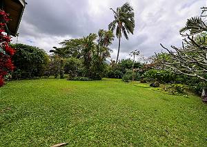 Lots of space with plumeria trees and fruit trees