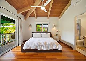 AC and tropical views