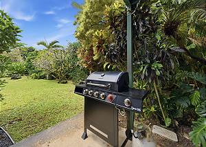 Gas BBQ for creating delicious meals