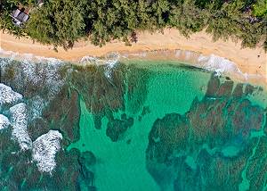 A great area for snorkeling