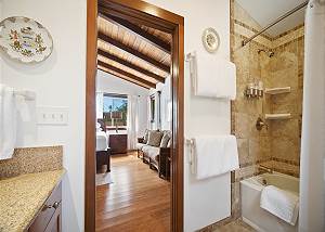 Full Shower/Tub combo 