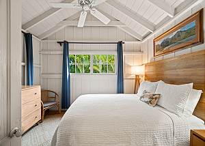 Tropical views outside the window