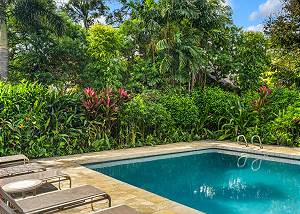 Lush tropical landscaping all around